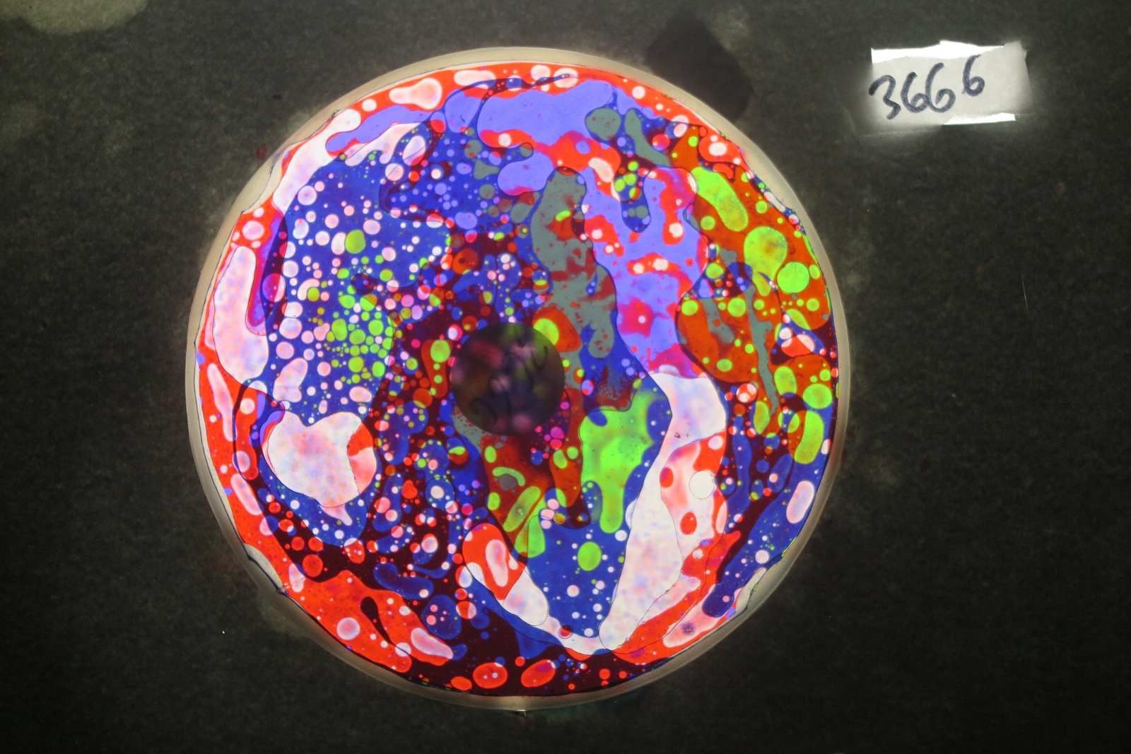 BV3666 bubble vision oil wheel